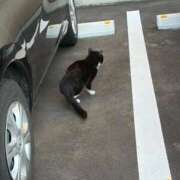 ヒメ日記 2026/03/18 19:05 投稿 めろでぃ サンキュー仙台店