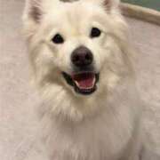 ヒメ日記 2026/04/14 11:45 投稿 めろでぃ サンキュー仙台店