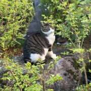 ヒメ日記 2026/04/16 20:55 投稿 めろでぃ サンキュー仙台店