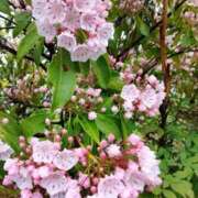 ヒメ日記 2025/06/01 06:35 投稿 くみん サンキュー仙台店