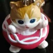 ヒメ日記 2025/07/01 12:25 投稿 くみん サンキュー仙台店