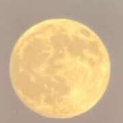 ヒメ日記 2025/10/06 18:43 投稿 かえで ロイヤル土佐