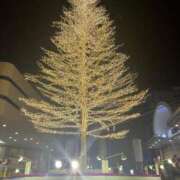 ヒメ日記 2025/12/17 20:05 投稿 かえで ロイヤル土佐