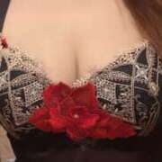 かえで あれ ロイヤル土佐