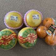 ヒメ日記 2026/01/26 19:10 投稿 かえで ロイヤル土佐