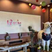 ヒメ日記 2026/03/05 11:02 投稿 かえで ロイヤル土佐