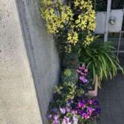 ヒメ日記 2026/04/04 00:00 投稿 かえで ロイヤル土佐