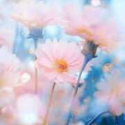 ヒメ日記 2025/05/29 22:05 投稿 桜木 ゆい ベストマダム