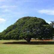 ヒメ日記 2025/06/15 18:49 投稿 桜木 ゆい ベストマダム