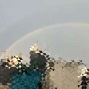 ヒメ日記 2025/07/01 18:03 投稿 桜木 ゆい ベストマダム