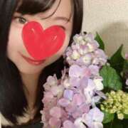 ヒメ日記 2025/07/05 13:46 投稿 桜木 ゆい ベストマダム