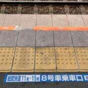 ヒメ日記 2025/07/12 10:48 投稿 桜木 ゆい ベストマダム