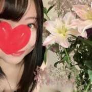 ヒメ日記 2026/06/08 10:15 投稿 桜木 ゆい ベストマダム