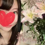 ヒメ日記 2026/08/09 11:52 投稿 桜木 ゆい ベストマダム
