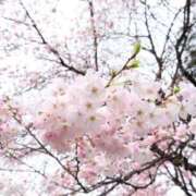 ヒメ日記 2025/04/04 23:56 投稿 なつき カワサキEROTIC（ソープランド）