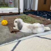 ヒメ日記 2025/06/03 20:24 投稿 北条みき 五十路マダム 岐阜店