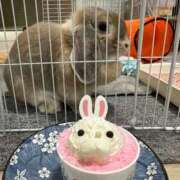 ヒメ日記 2025/06/05 08:12 投稿 北条みき 五十路マダム 岐阜店