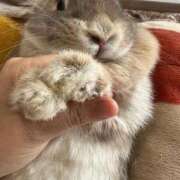 ヒメ日記 2025/06/07 19:56 投稿 北条みき 五十路マダム 岐阜店