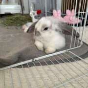 ヒメ日記 2025/06/21 16:38 投稿 北条みき 五十路マダム 岐阜店