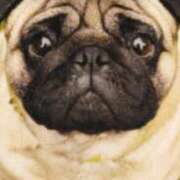 ヒメ日記 2025/07/01 17:58 投稿 北条みき 五十路マダム 岐阜店