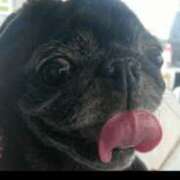 ヒメ日記 2025/07/03 18:14 投稿 北条みき 五十路マダム 岐阜店