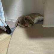 ヒメ日記 2025/07/08 14:12 投稿 北条みき 五十路マダム 岐阜店