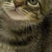 ヒメ日記 2025/07/08 21:44 投稿 北条みき 五十路マダム 岐阜店