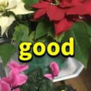 ヒメ日記 2025/08/25 06:58 投稿 北条みき 五十路マダム 岐阜店