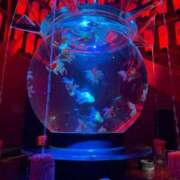 ヒメ日記 2025/09/02 09:06 投稿 北条みき 五十路マダム 岐阜店