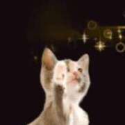 ヒメ日記 2025/09/20 18:36 投稿 北条みき 五十路マダム 岐阜店