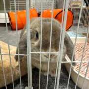 ヒメ日記 2025/09/23 08:14 投稿 北条みき 五十路マダム 岐阜店