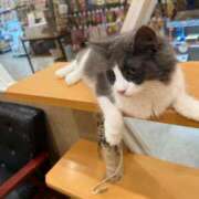 ヒメ日記 2025/09/27 16:28 投稿 北条みき 五十路マダム 岐阜店