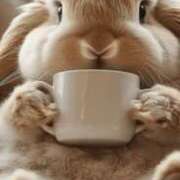 ヒメ日記 2025/12/05 12:22 投稿 北条みき 五十路マダム 岐阜店