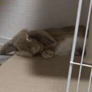 ヒメ日記 2025/12/16 10:38 投稿 北条みき 五十路マダム 岐阜店