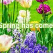 ヒメ日記 2026/03/12 11:00 投稿 北条みき 五十路マダム 岐阜店