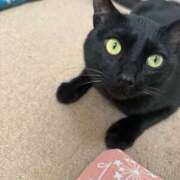 ヒメ日記 2026/03/17 11:52 投稿 北条みき 五十路マダム 岐阜店