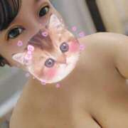 ヒメ日記 2025/07/24 13:58 投稿 五条 BBW（ビッグビューティフルウーマン）