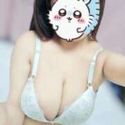 ヒメ日記 2025/08/05 09:40 投稿 五条 BBW（ビッグビューティフルウーマン）