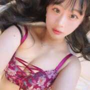 星奈ひびき 🎀最終日🎀 ブルーバード