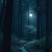 ヒメ日記 2025/06/13 20:58 投稿 しおん OOPS(オップス)