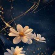 ヒメ日記 2025/06/18 21:51 投稿 しおん OOPS(オップス)