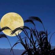 ヒメ日記 2025/09/05 22:42 投稿 しおん OOPS(オップス)