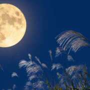 ヒメ日記 2025/10/05 21:31 投稿 しおん OOPS(オップス)