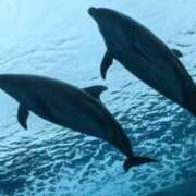 ヒメ日記 2025/04/14 20:41 投稿 緋色【ひいろ】 丸妻 西船橋店