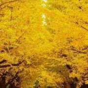 ヒメ日記 2025/11/19 10:40 投稿 緋色【ひいろ】 丸妻 西船橋店