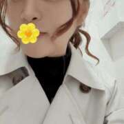 緋色【ひいろ】 触れたら溶ける距離 丸妻 西船橋店