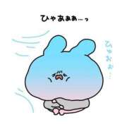 まお☆ メンブレ 豊橋豊川ちゃんこ