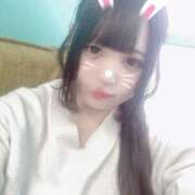 ヒメ日記 2025/05/01 13:39 投稿 つくよ 素人エロカワ小悪魔誘惑バニーガール