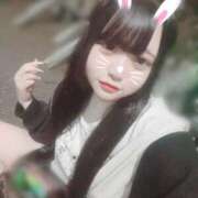 ヒメ日記 2026/02/03 23:54 投稿 つくよ 素人エロカワ小悪魔誘惑バニーガール