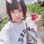 ヒメ日記 2026/04/15 00:50 投稿 つくよ 素人エロカワ小悪魔誘惑バニーガール